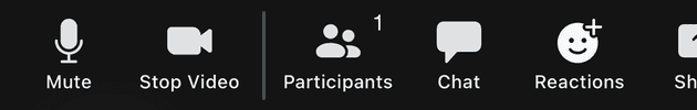 Participants button in Zoom