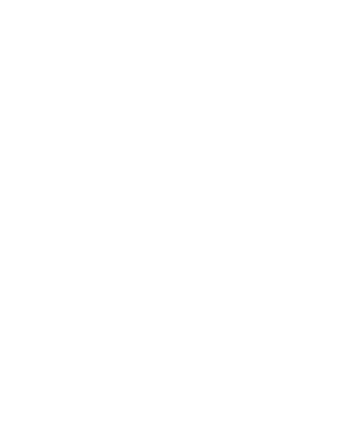 Apple Store icon