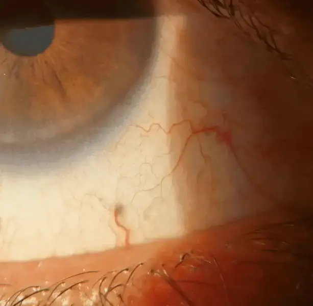 Best quality 4k illustration