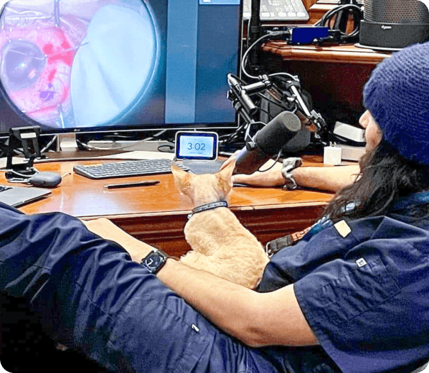 Dr Ahmed mentoring Dr Ticiana de Francesco