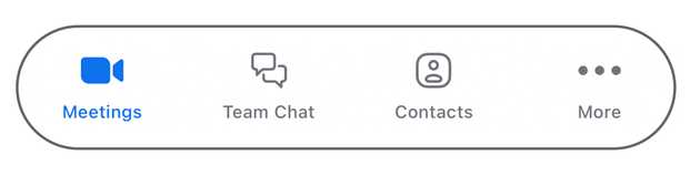 Meetings tab in Zoom (in blue)